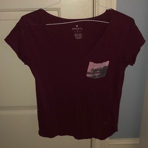 American Eagle Crop Top.